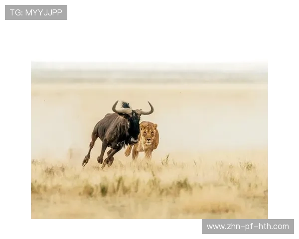 决赛局黑球争夺紧张到令人窒息